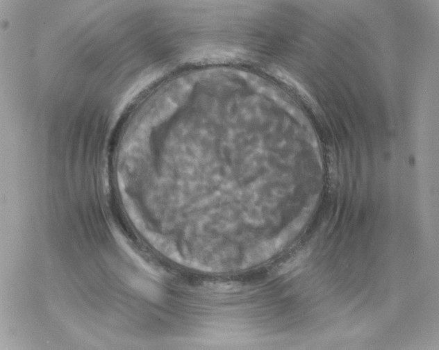 X0000077360582200611171925