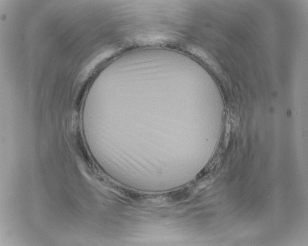 X0000077360583200611171925