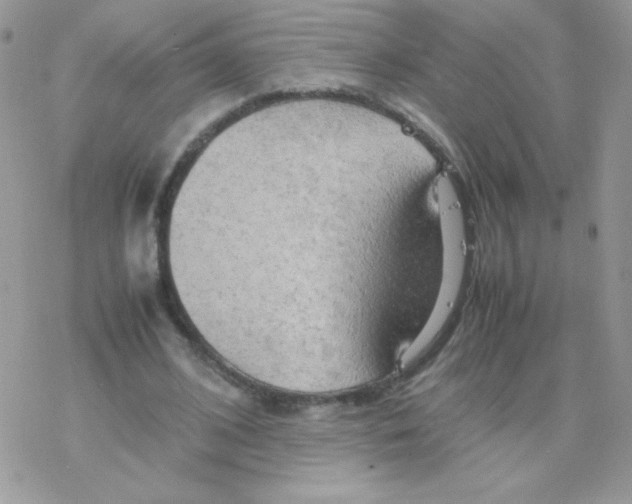 X0000077360584200611171925