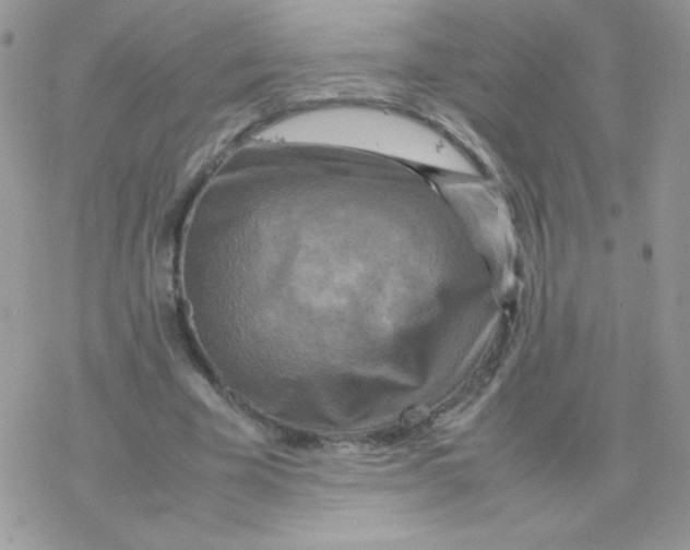 X0000077360585200611171925