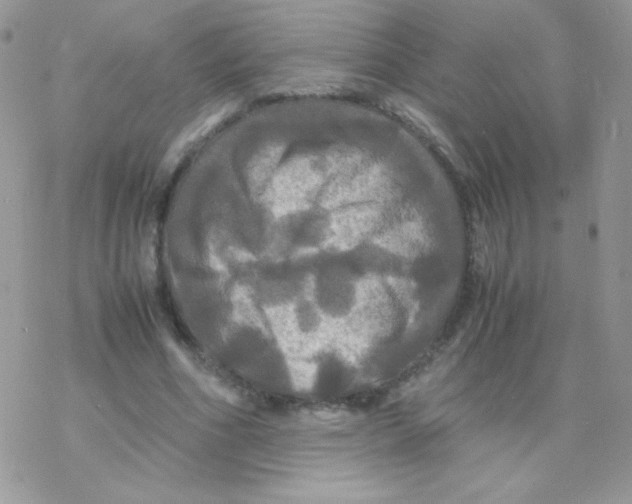 X0000077360586200611171925