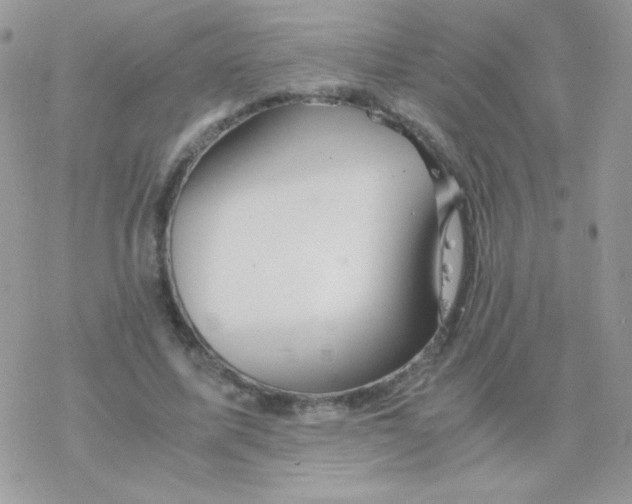 X0000077360587200611171925