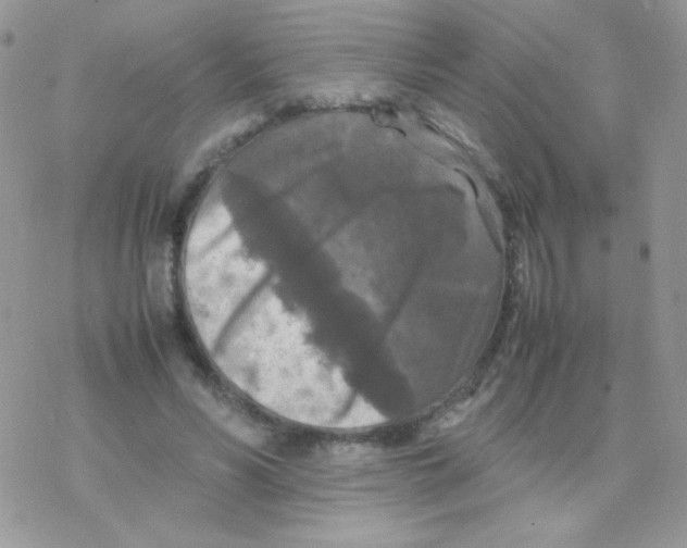 X0000077360590200611171925