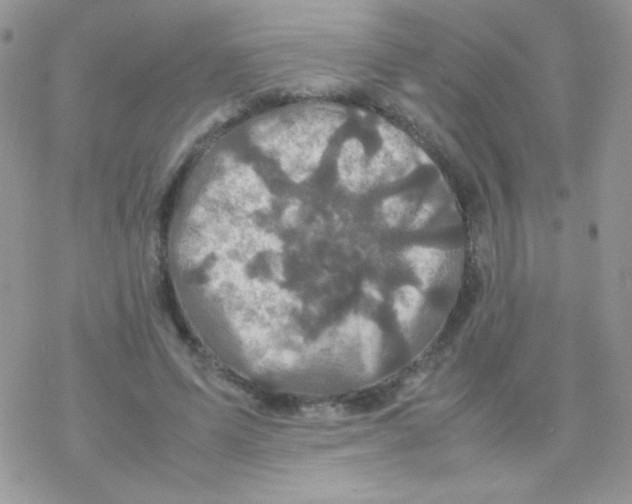 X0000077360591200611171925