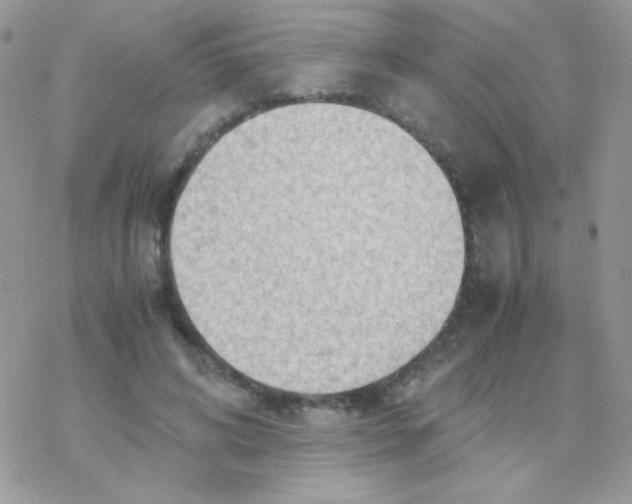 X0000077360592200611171925