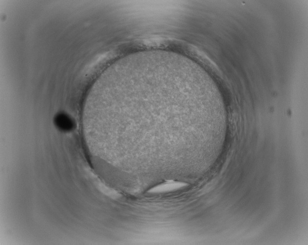 X0000077360593200611171925