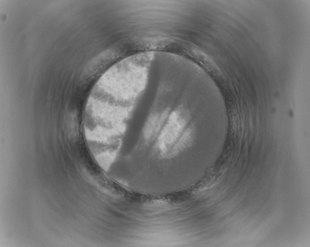 X0000077360594200611171925