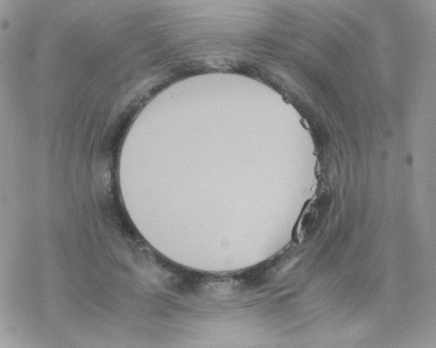 X0000077360595200611171925