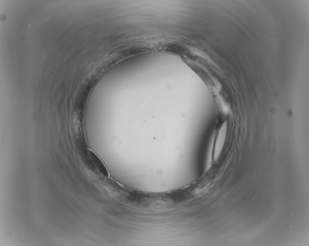 X0000077360597200611171925