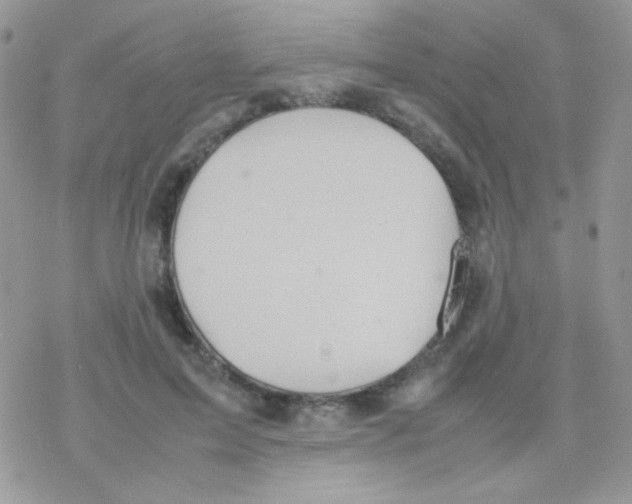 X0000077360599200611171925