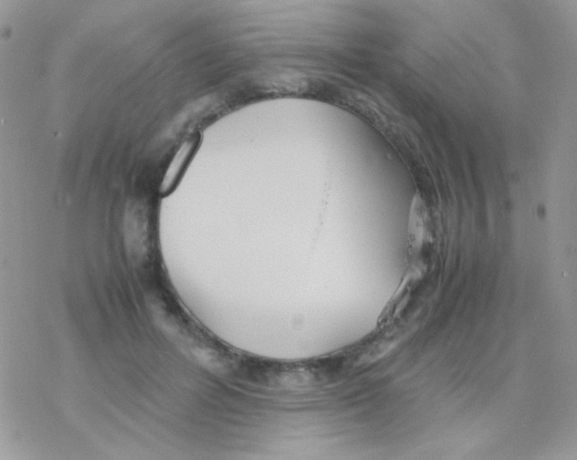 X0000077360600200611171925