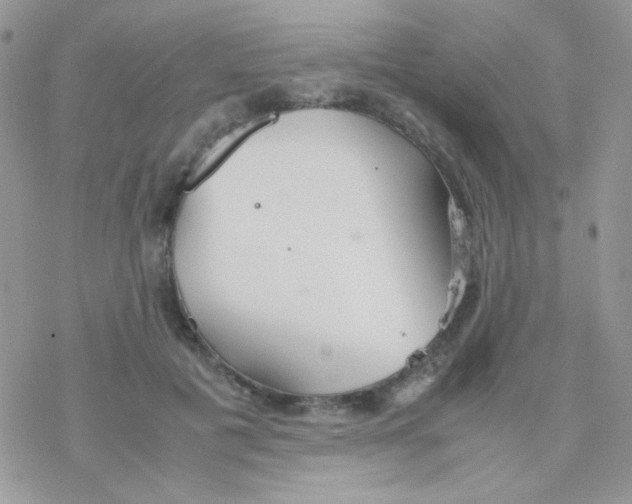 X0000077360601200611171925