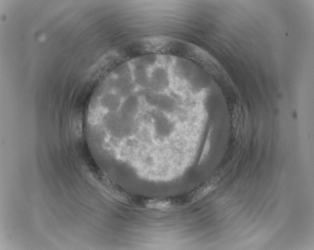 X0000077360602200611171925