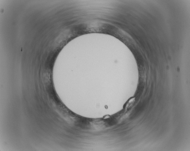 X0000077360603200611171925