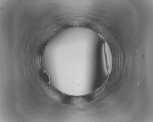 X0000077360605200611171925