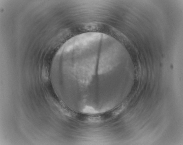 X0000077360606200611171925