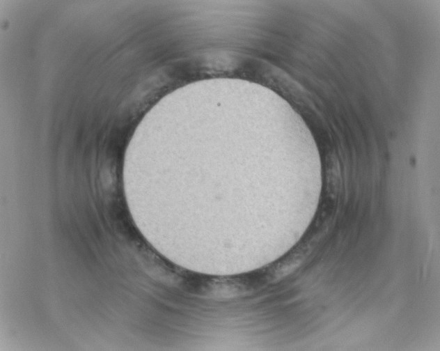 X0000077360608200611171925