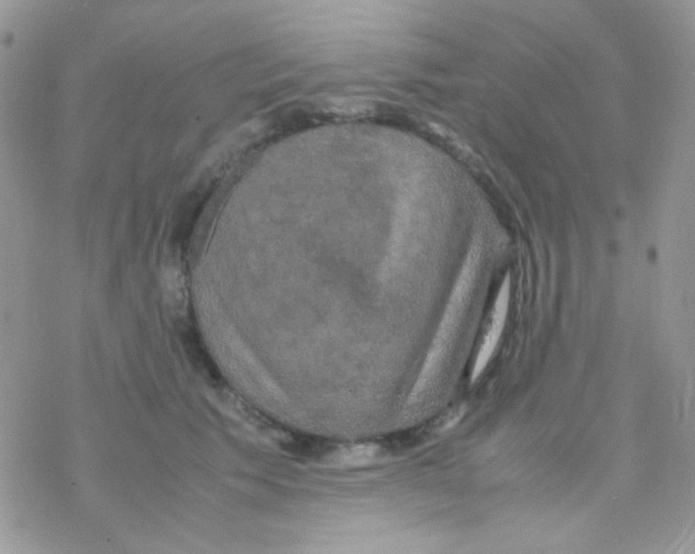 X0000077360609200611171925