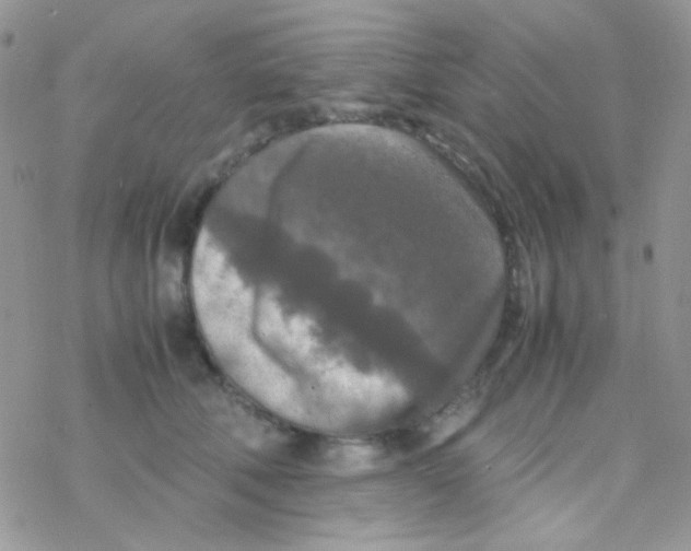 X0000077360610200611171925