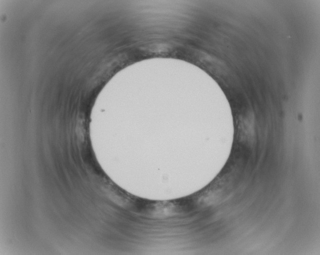 X0000077360612200611171925