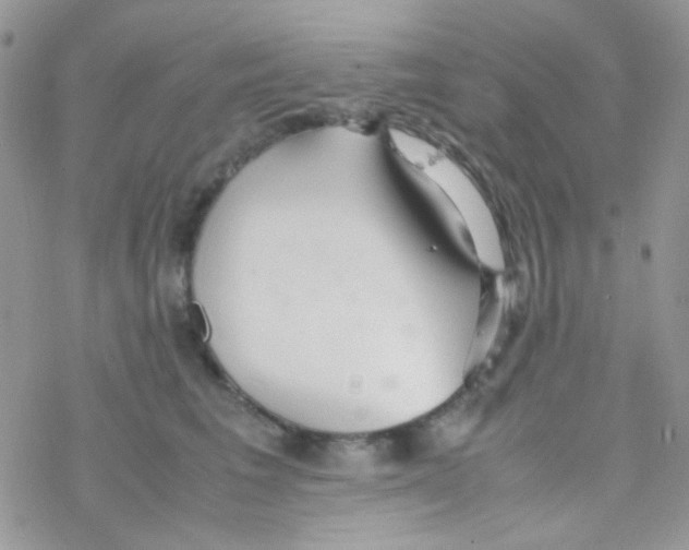 X0000077360613200611171925