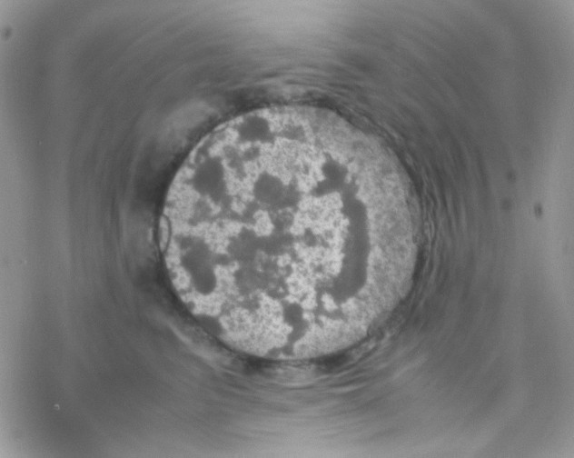 X0000077360615200611171925