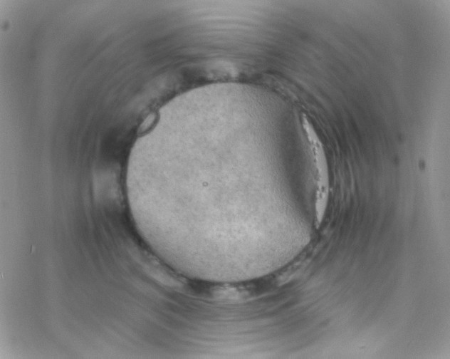 X0000077360616200611171925