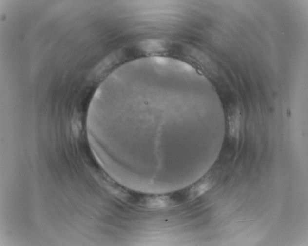 X0000077360618200611171925