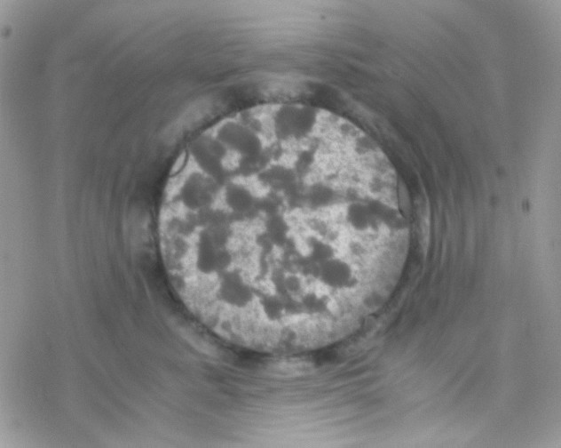 X0000077360619200611171925