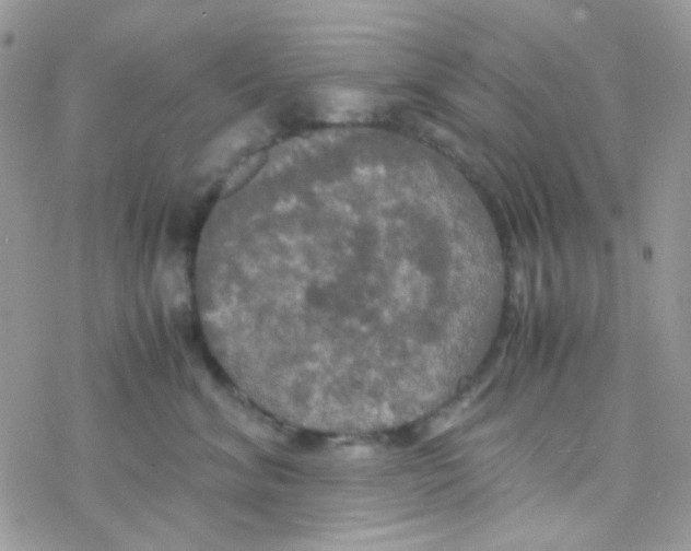 X0000077360620200611171925