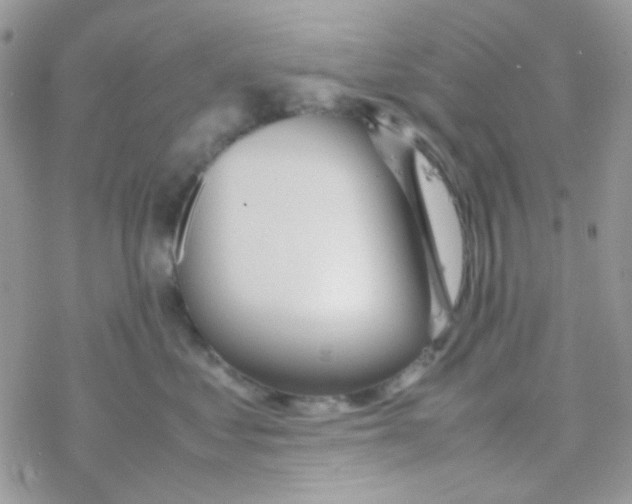 X0000077360621200611171925