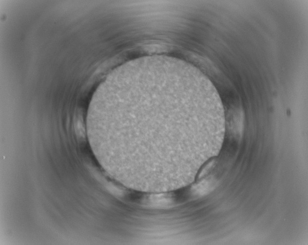 X0000077360622200611171925