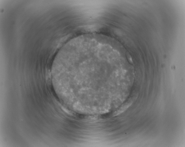 X0000077360624200611171925