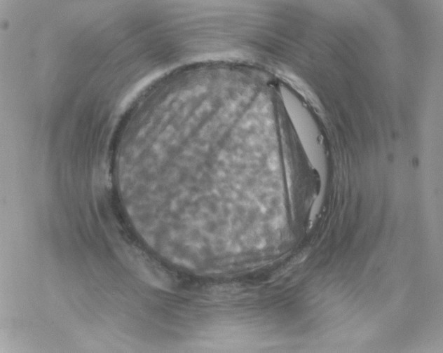 X0000077360628200611171924