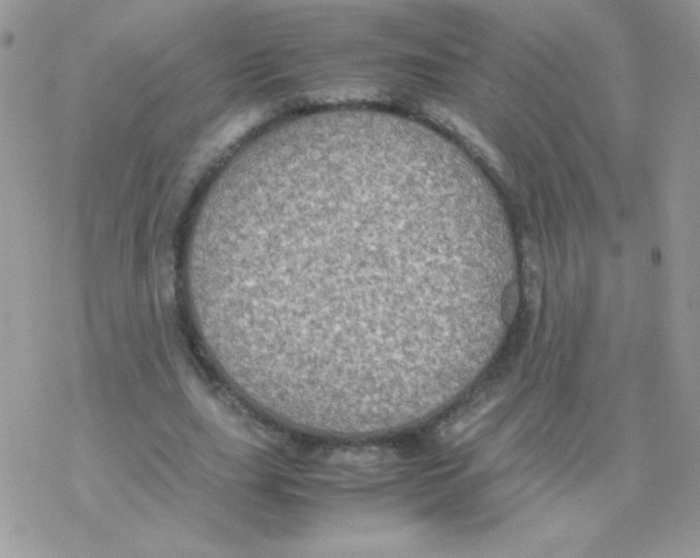 X0000077360631200611171924