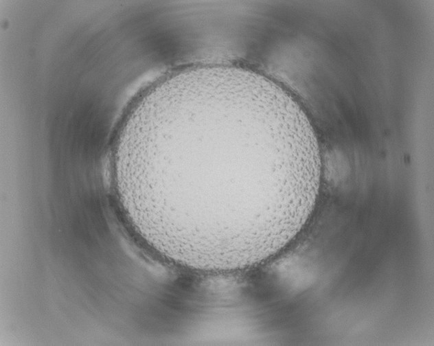 X0000077360632200611171924