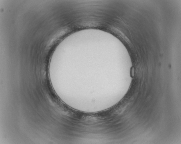 X0000077360635200611171924