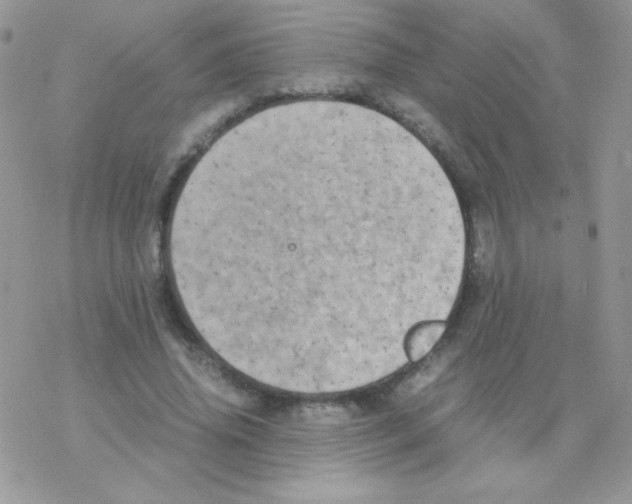 X0000077360636200611171924