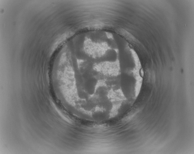 X0000077360638200611171924