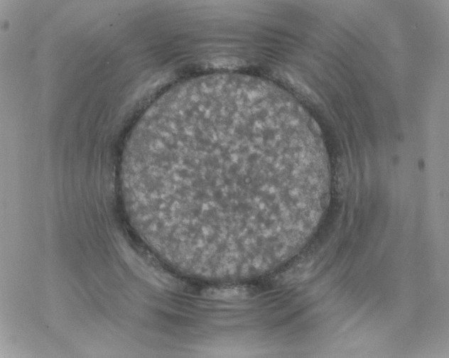 X0000077360639200611171924