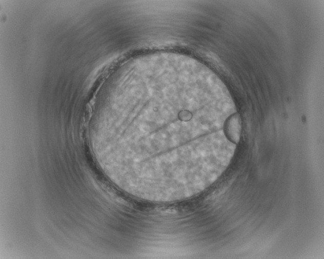 X0000077360640200611171924