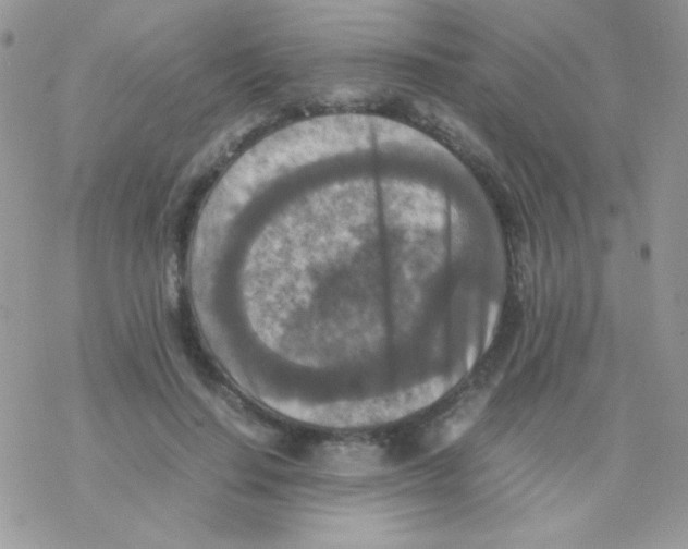 X0000077360644200611171924