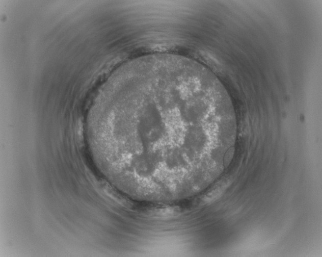 X0000077360646200611171924