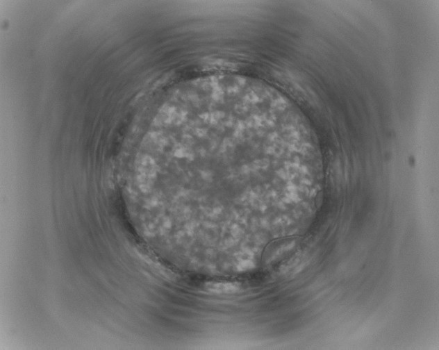 X0000077360649200611171924