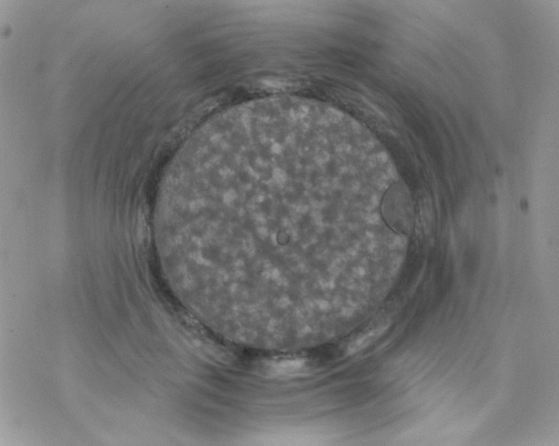 X0000077360651200611171924