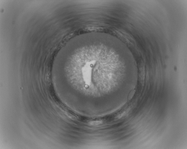 X0000077360653200611171924