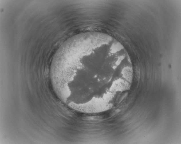 X0000077360657200611171924