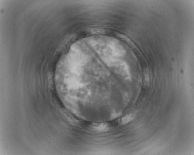 X0000077360667200611171924