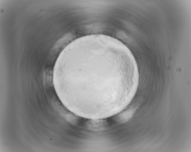 X0000077360672200611171925