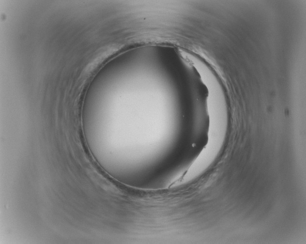 X0000077360673200611171924